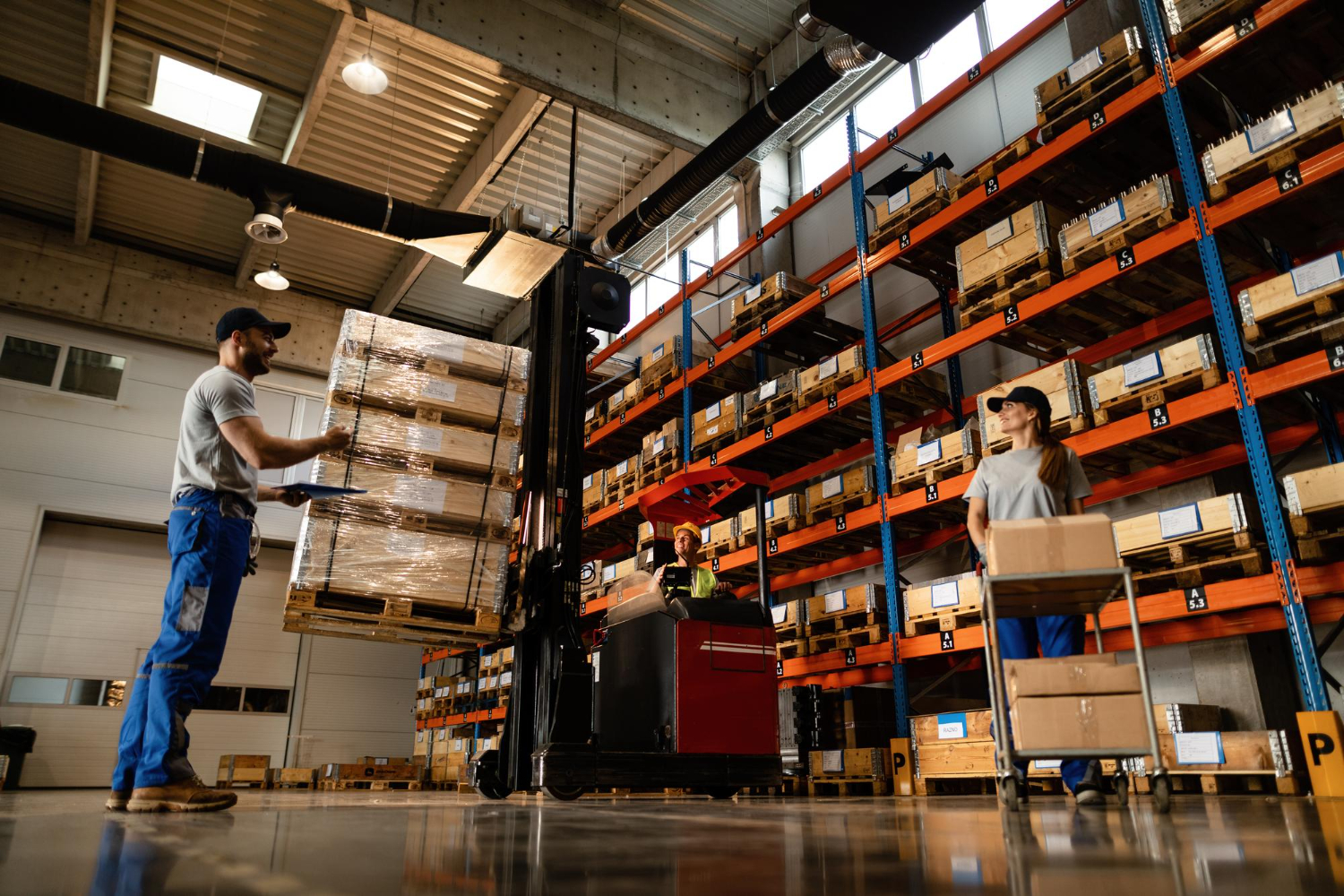 shipping and logistics services